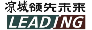 涼城縣領(lǐng)先未來(lái)電子商務(wù)有限公司